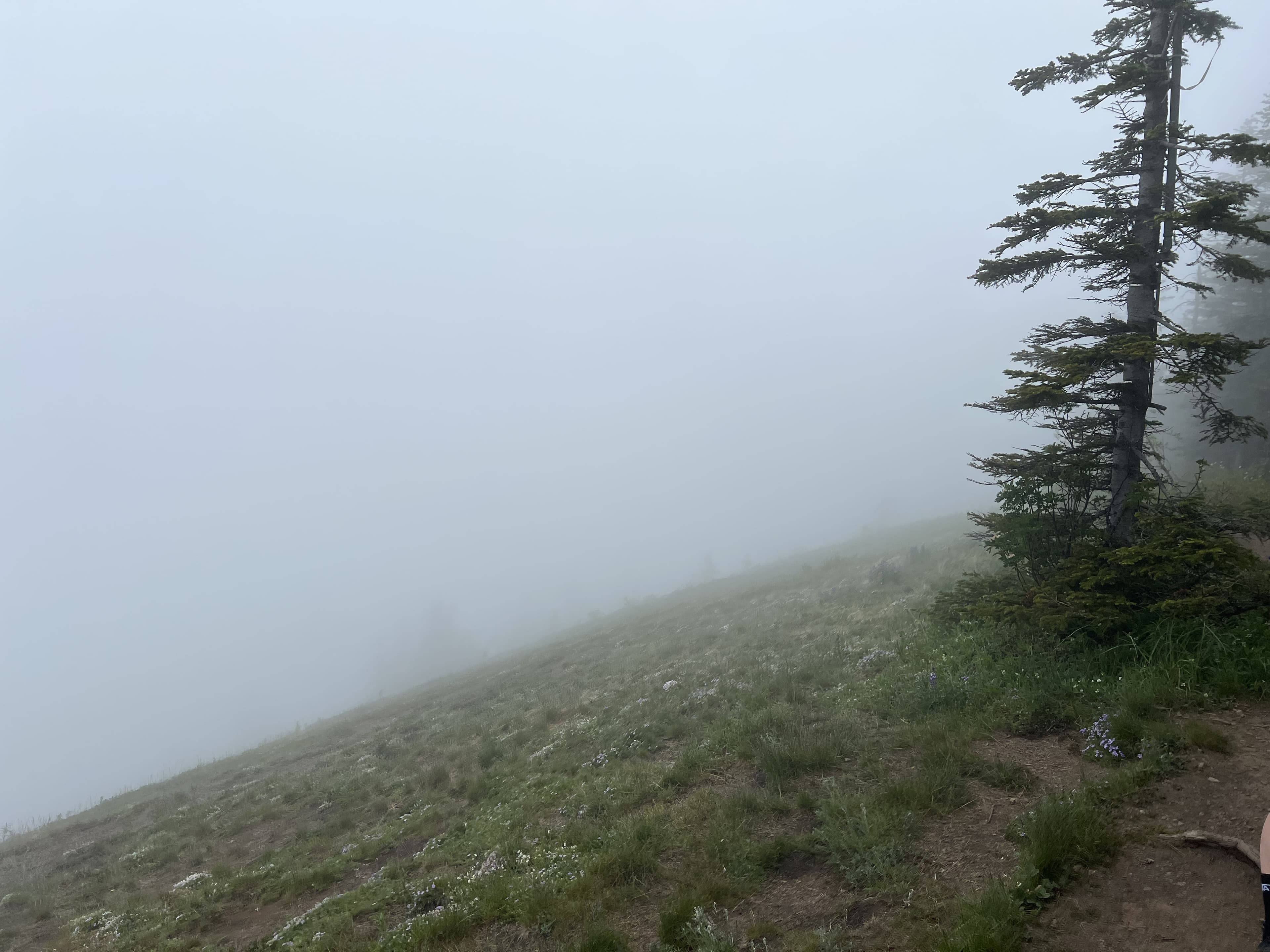 hiking image